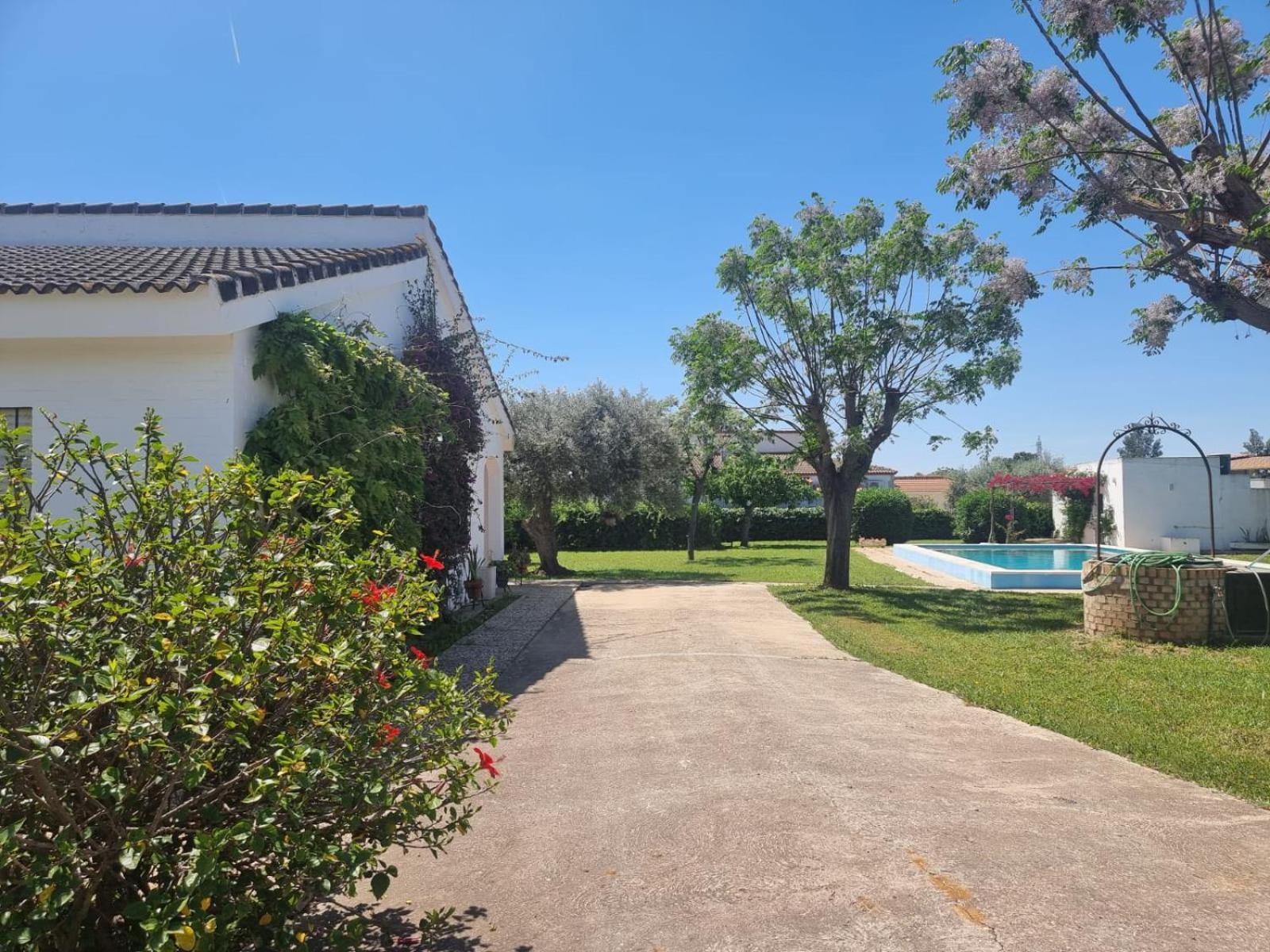 Casa En El Campo Cerca De Sevilla Ла-Ринконада Экстерьер фото