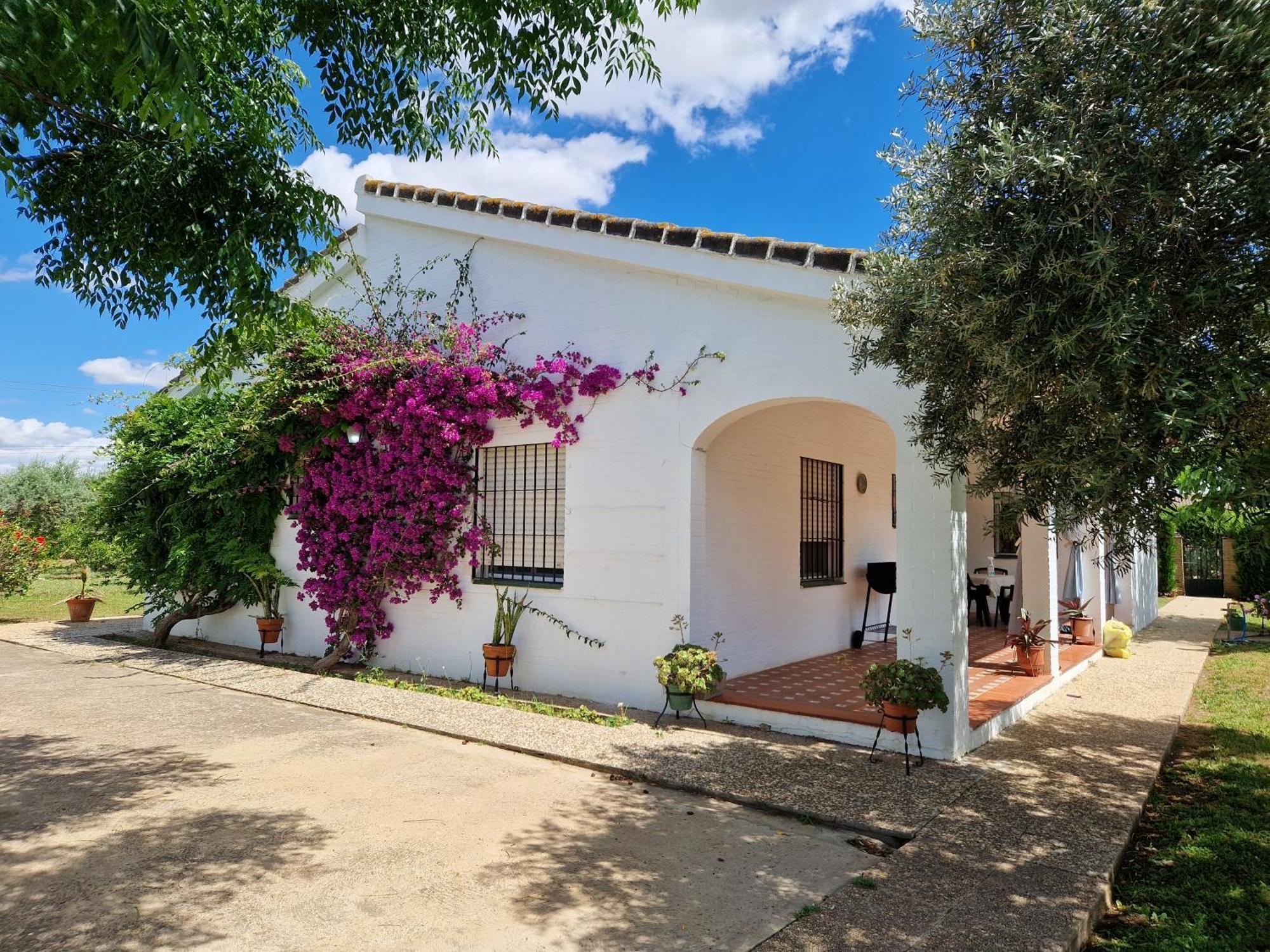 Casa En El Campo Cerca De Sevilla Ла-Ринконада Экстерьер фото